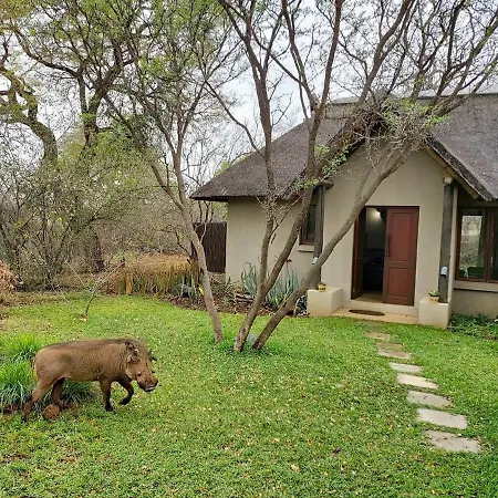 13 Raptors Lodge Hoedspruit Exterior foto