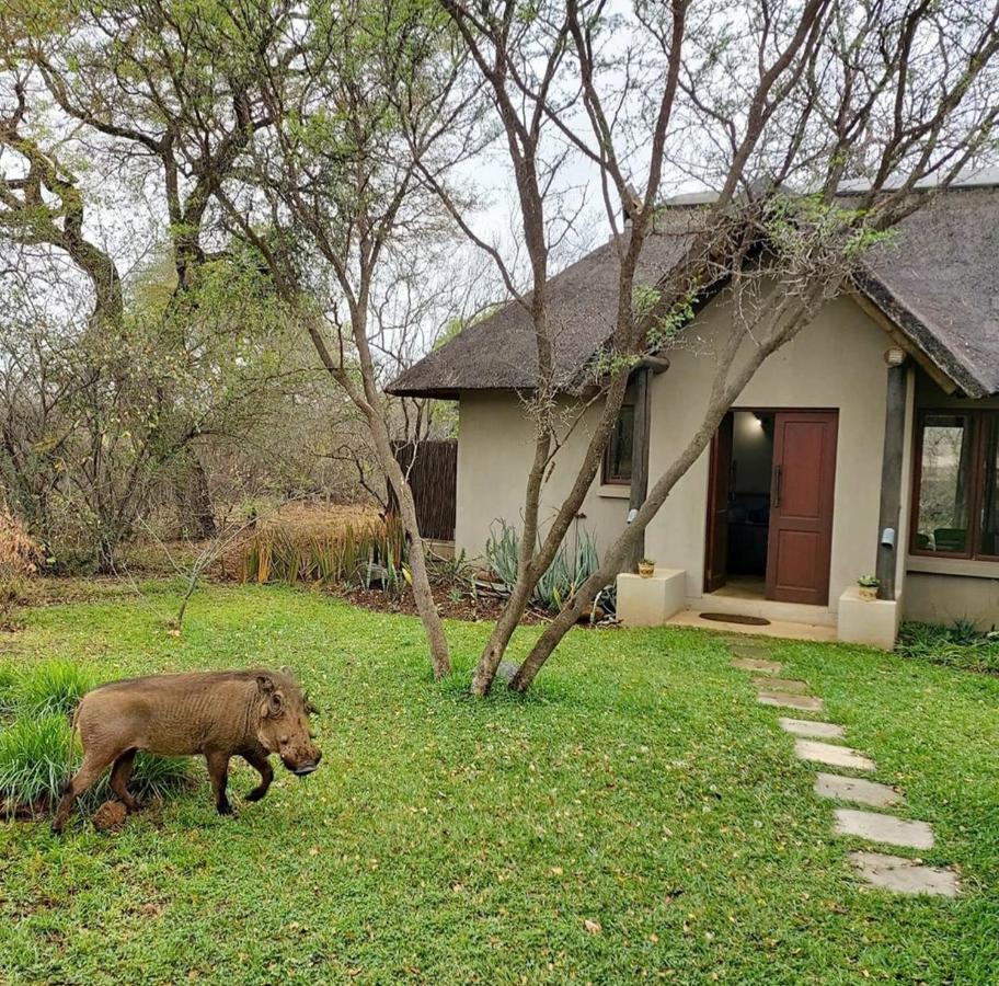 13 Raptors Holiday home Hoedspruit